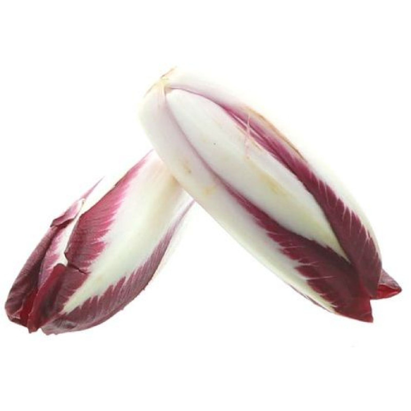 CHICON ENDIVE ROUGE 3KG